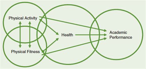 function of physical education|Physical Activity and Physical Education: Relationship to Growth .